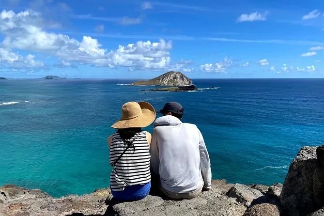 Small-Group Circle Island Tour in a 13-Seat Van