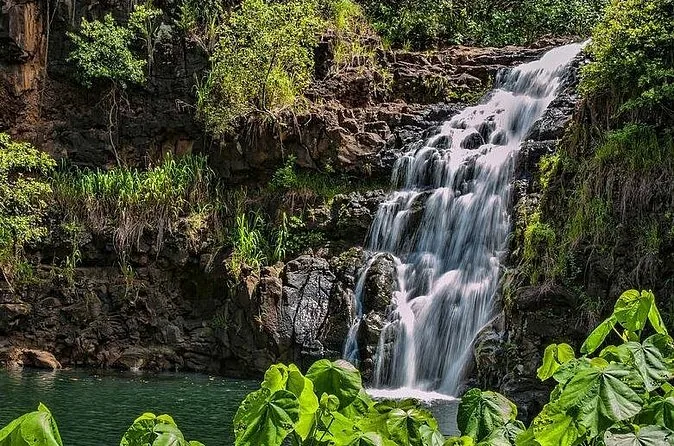 Circle Island Tour with Waimea Valley Waterfall
