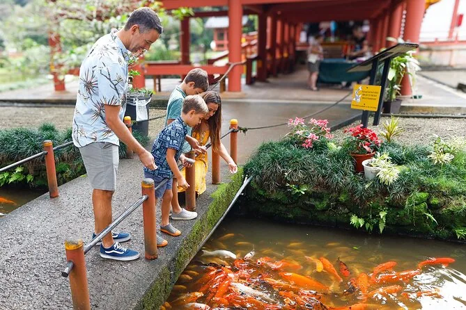 Visitantes dando de comer a carpas koi naranjas en el estanque del templo Byodo-In, Kaneohe